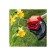 Trimmer battery. Einhell PXC GC-CT18/24LI-SOLO, 18 V, bevel 240 mm, 760-1000 mm, without ZU and AKB