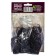 Lilia Asian Tinos, 14/16 rr, 2 pcs. 100 h (cm), autumn 2024
