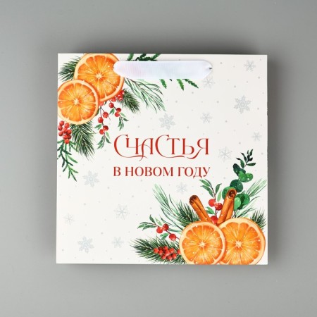 Package Gift New Year's laminated square "Happiness in the New Year", 22 x 22 x 11 cm, New Year-3