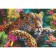 Leopard puzzle, 500 elements