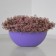 Kashpo for flowers "Rook" 60x29.5x24 cm, 10 l, lilac color