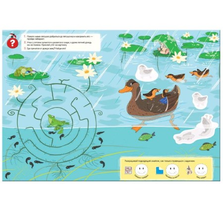 Forest animals. Summer-2