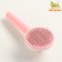 Pucrhester plastic with self -cleaning function, 7.7 x 19.1 cm, pink
