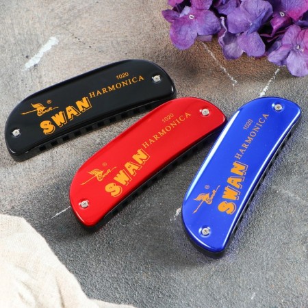 Glubby accordion Swan SW1020-16-2