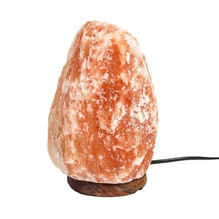 Salt lamp Ergopower ER 501, 220 V, 15 W, 2-3 kg-1