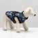 Jacket for dogs with a zipper "Primes", size XS, blue (DS 21, Osh 22, OG 30 cm)