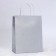 Gift Paper Package with glitter silver, 21 x 11 x 27 cm