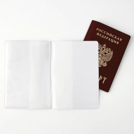Cover for the passport "Dragon", PVC-3