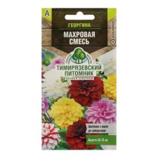 Georgin's flowers 