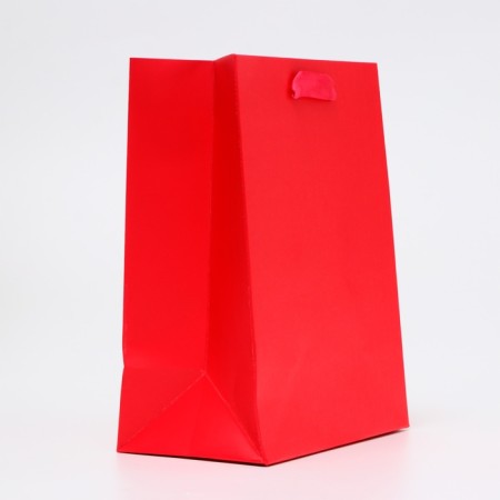 Laminated package "Fuchsia", MS 18 × 23 × 10 cm-1