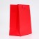 Laminated package "Fuchsia", MS 18 × 23 × 10 cm