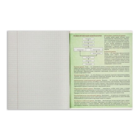 A set of subject notebooks 48 sheets "3D", 10 items, with reference material, covered cardboard, block No. 2, whiteness 75% (gray sheets)-30