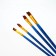 Drawing brush set 4 pcs. Synthetics flat No. 4.6.8.10 "Van Gogh"