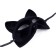 Carnival mask "cat"