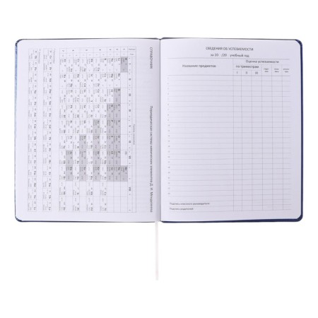 Universal diary for grades 1-11, hard cover, artificial leather, foam rubber, silkography, lies, 80 g/m2-10