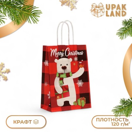 Package Gift craft "White Bear" 15 × 21 × 8 cm