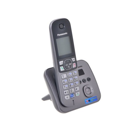 Radio Territory Panasonic Dect KX-TG6821RUM, Automobile Coater, AOO, Gray metallic