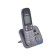 Radio Territory Panasonic Dect KX-TG6821RUM, Automobile Coater, AOO, Gray metallic