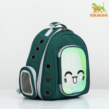 A backpack for carrying animals with a viewing window, green
