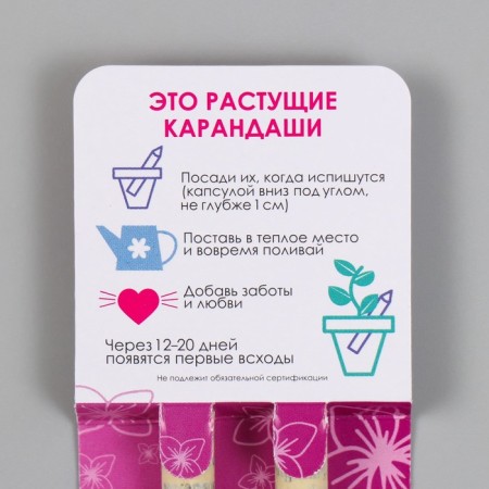 Growing gift pencils Mini "lavender + lilac" set 2 pcs.-2