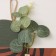 Decorative wood hooks "Abstraction. Rose in a vase" 1.5x19x23.5 cm