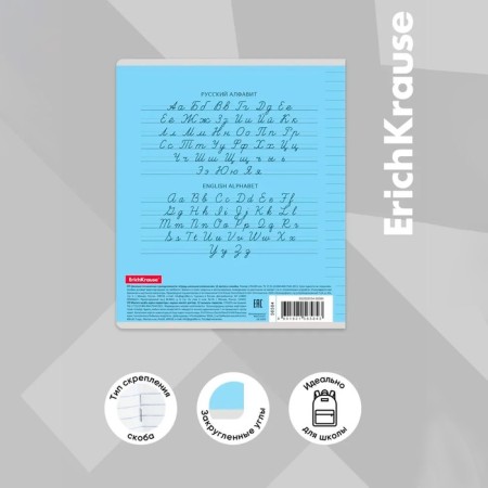 Notebook 12 sheets in the slanting ruler, erichkrause visio "Classic", cover coated cardboard, offset block, blue-12