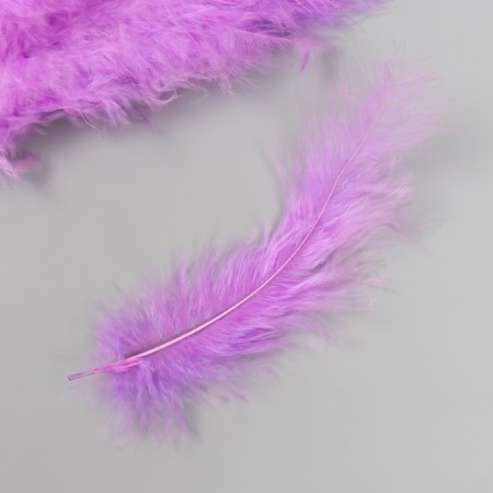 Pen decorative goose down "Lilac" set 40 pcs h = 10-15 cm-2