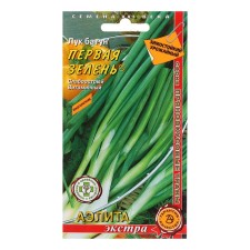 Batun Batun seeds 