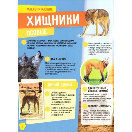 Dinosaurs. World Ocean. Insects and spider -shaped. Animals-9