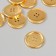 Buttons plastic 4 punctures "gold" 3x3 cm set 10 pcs