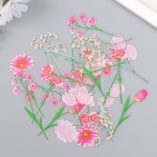 Set of stickers 