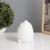 Night "cat" LED from white batteries 9.5x9x13.5 cm Risalux