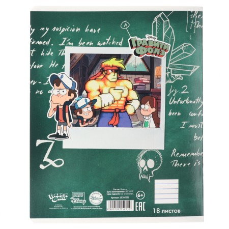 Notebook in a line of 18 sheets, 5 types of mix, cover coated cardboard, gravity farz-3