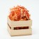 Fill the paper "Bunny of the mountain ash", multi -colored, 50 g