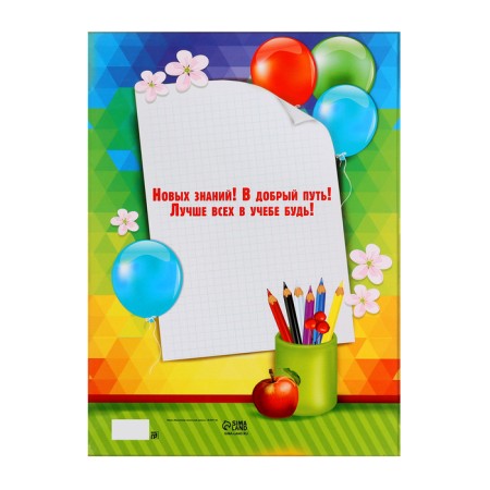Elementary school graduate, A4, without files-2