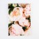 Notepad "Flowers", A5 format, 40 sheets, cardboard cover soft