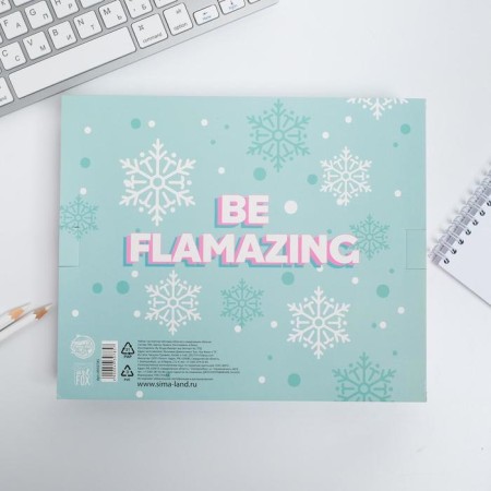 Flamingo Winter Party: Passport-Obvikhko and Diary Pass.-7