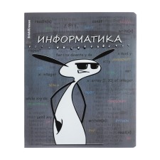 Тетрадь предметная, 48 листов, клетка, ИНФОРМАТИКА ErichKrause "Чубрик", пластиковая обложка шелкография, блок офсет белизна 100%, инфо-блок
