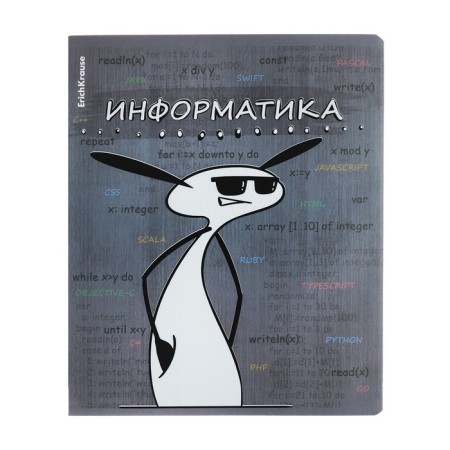 Subject notebook, 48 sheets, cage, computer science Erichkrause "Chubrik", plastic cover silk-screen covers, OFSET BELICT 100%, information block