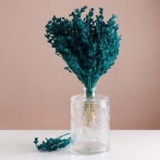Set of dried flowers 