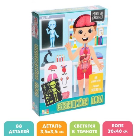Puzzles luminous "X-ray-cabinet", 88 details
