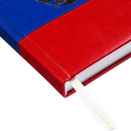 Dated diary 2025, Devente. Flag, a5 168 sheets, a solid cover of leatherette with foam, foil embossing, perforation, liesse, block 70 g/m2-2