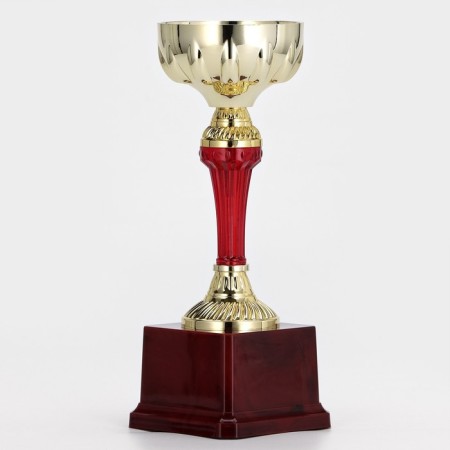 Cup 133C, award figure, gold, plastic stand, 19 × 7.5 × 7.3 cm.-3