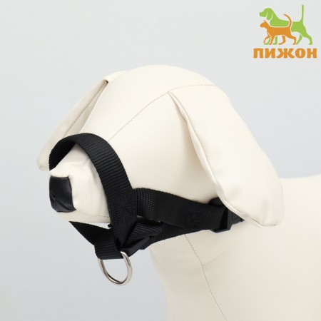 Donmorno-muzzle for dogs is strict, size S, OM 12-24 cm, Osh 11-18 cm, black