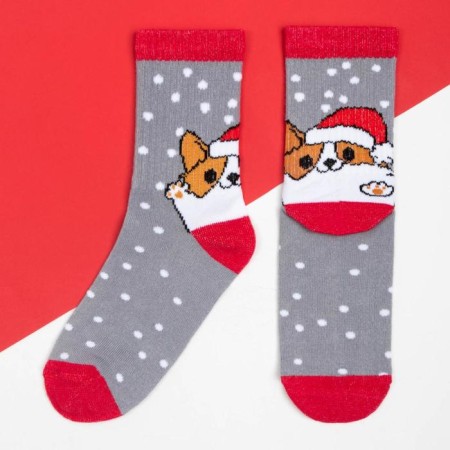 New Year's socks KAFTAN "Corgi" rr 16-18, gray