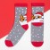 New Year's socks KAFTAN "Corgi" rr 16-18, gray