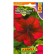 Petunia seeds Marco Polo F1 wine-red, 7 pcs