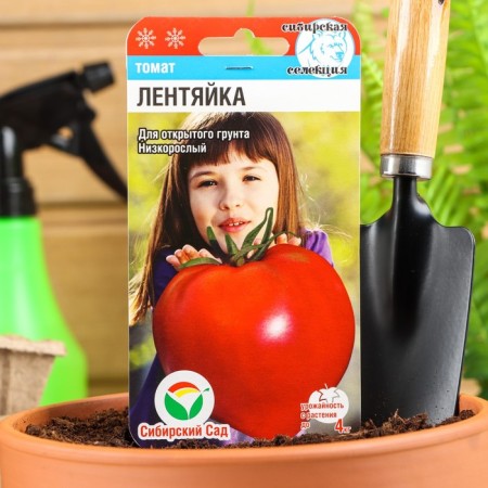 Seeds Tomat "Lazyak", Early Nespeli, 20 pcs