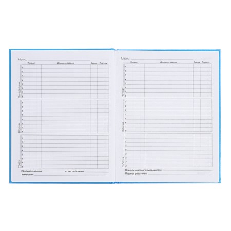 Diary for grades 5-11, 48 sheets of Kapibar Kapibarov, hard cover, glossy lamination, block 60 g/m2-8