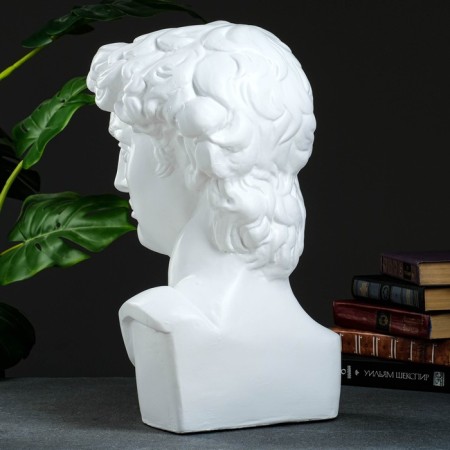 Figure "Bust of David" White, 24x48cm-2